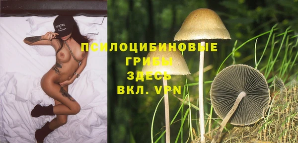 ешки Вязьма