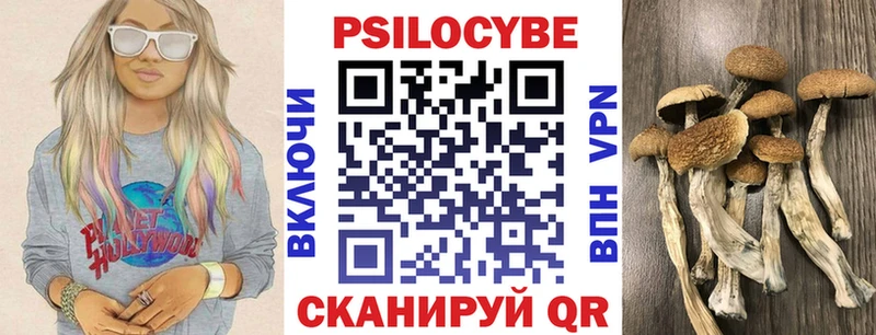 хочу   ссылка на мегу ONION  Галлюциногенные грибы прущие грибы  Гусиноозёрск 